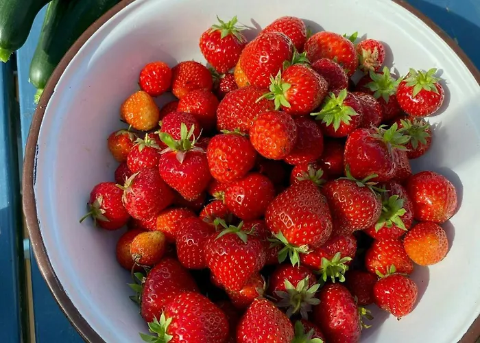 Romantic Country With Fjord Views On Amoy *