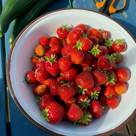 Romantic Country With Fjord Views On Amoy Feriehus Stavanger
