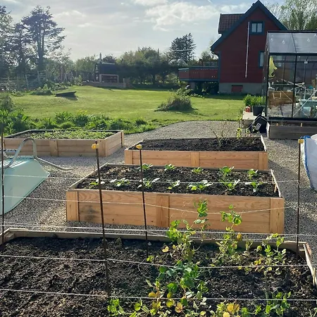 Romantic Country With Fjord Views On Amoy Feriehus Stavanger